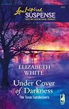 Under Cover Of Darkness (Steeple Hill Love Inspired Suspense)