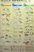 Insects Identification 24x36 Poster