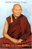 La roue aux lames ac��r��es = Theg pa tchen po lo djong tseun tcha khor lo: Un entrainement de l'Esprit du Grand V��hicule par Dharmarakshita