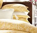 Pottery Barn Painterly Paisley 400-Thread Count Duvet Cover & Sham - Yellow