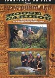 Newfoundland Moose & Caribou