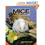 Mice As a New Pet