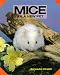 Book Mice As a New Pet
