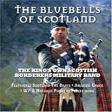 Bluebells of Scotland
