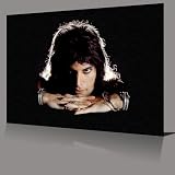 QUEEN: Freddie Mercury XL 34 Canvas Art Print,NEW