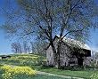 Barn in the Country in Springtime - Charming 16"x20" Photographic Print by Carol M. Highsmith