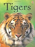 Tigers