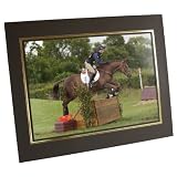 Awesome Horses 2930 A4 Pearl Photo Print with free strut mount'