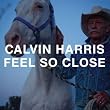 Feel So Close (Radio Edit)