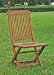 Trivoli Wooden Slatted Back Folding Chairs Set of 2 (Stain) (37