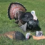 Carry - Lite  Pretty Boy and Pretty Girl Turkey Decoys