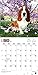 Basset Hounds 2017 Calendar