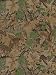 Real Tree Camouflage Advantage Wallpaper