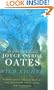 Wild Nights!: Stories About the Last Days of Poe, Dickinson, Twain, James, and Hemingway