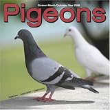 Pigeons 2008 Wall Calendar