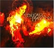 The Flame Within