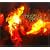 The Flame Within Ltd edition