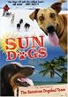 Sun Dogs