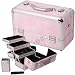 15.5 PINK SNAKE SKIN Makeup Organizer with Dividers and Brush Holder MP6