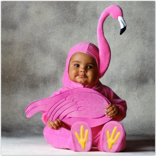 Tom Arma Flamingo Signature Limited Edition Baby Costume - (Toddler 4T-5T)