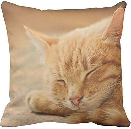 Sleeping Orange Tabby Cat Throw Pillow case 22*22