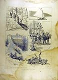 1887 Winter-Sports Canada Sledging Bouncing Yachting