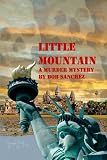 Little Mountain
