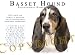 Basset Hound TRI Human Trainer Mouse Pad Dog Mousepad