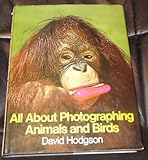All about photographing animals and birds