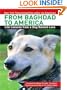 From Baghdad to America: Life Lessons from a Dog Named Lava