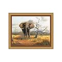 Charging Elephant by Clive Kay- 25.5x31.5"