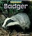 Wild Britain: Badger (Wild Britain)