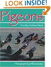 Pigeons