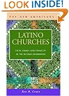 Latino Churches: Faith, Family, and Ethnicity in the Second Generation (New Americans (Lfb Scholarly Publishing Llc).)