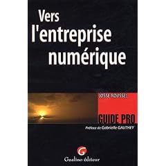 Vers l'entreprise num�rique