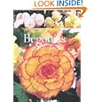 Begonias