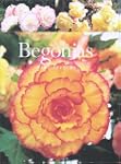 Begonias