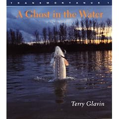 A Ghost in the Water (Transmontanus series)