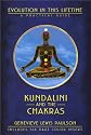 Kundalini & the Chakras: Evolution in this Lifetime (Llewellyn's new age series)