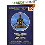 Kundalini & the Chakras: Evolution in this Lifetime (Llewellyn's new age series)