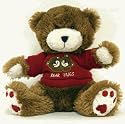 KJB Security C1250C24 Teddy Bear Camera Color 2.4Ghz