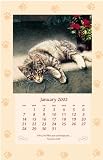Hard Day s Play Calendar 2002