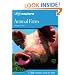 GCSE "Animal Farm" (Letts Explore)