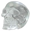 Crystal Skulls - Small Translucent Skull - Cold Cast Resin - 3" Height
