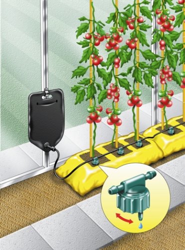 Buy BIG DRIPPA WATERING KIT online at Discounted New and Used prices. Delivered to your door with Off-The-Bookshelf.