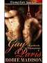 Gay Paris (Heartbreak Anonymous, Book Two)