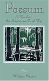 Possum: A Novel of the American Civil War