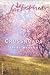 Book Crossroads (Love Inspired #224)