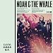 MP3 Free Song of the Day: Noah & the Whale