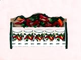 Review BMG  / ChiliPepper Red,Green 5 pc Spice Jar w/ Wood Rack Hanging Rack